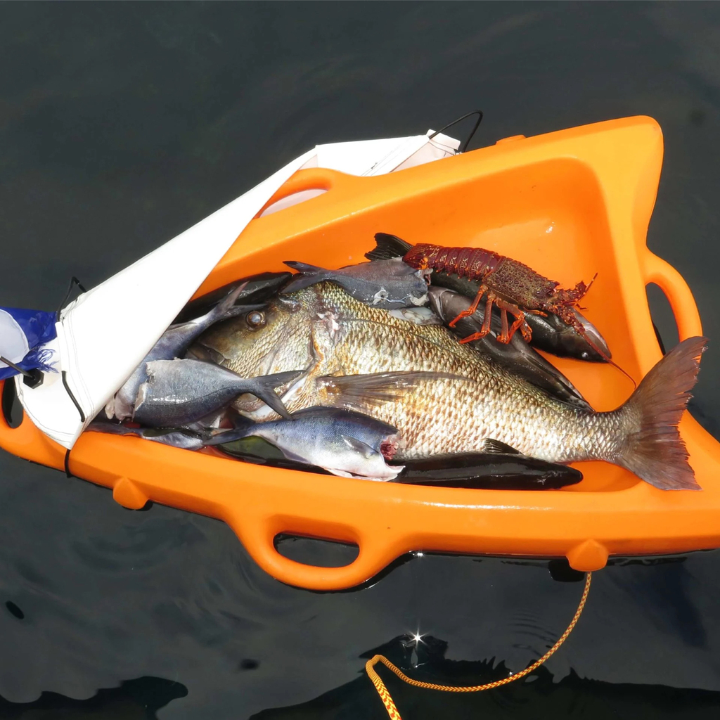 Wettie Float Boat with diving catch
